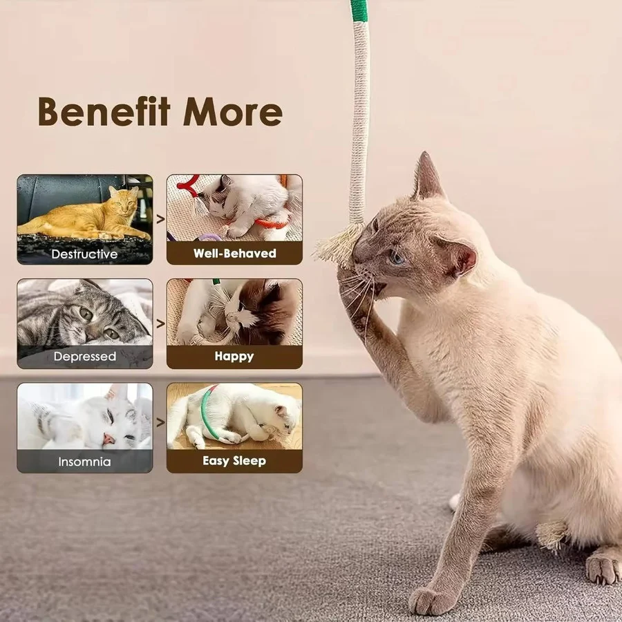 Katzenspielzeuge für verspielte Kätzchen - Gesundes Kauen