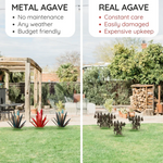 Metallische Agave - Dekorative Pflanze für drinnen und draußen