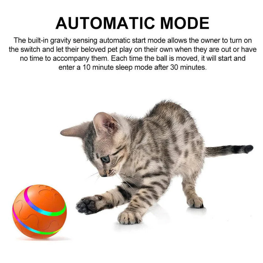 Interaktives Spielzeug für Hunde und Katzen – Endloser Spaß