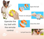Interaktives Spielzeug für Hunde und Katzen – Endloser Spaß