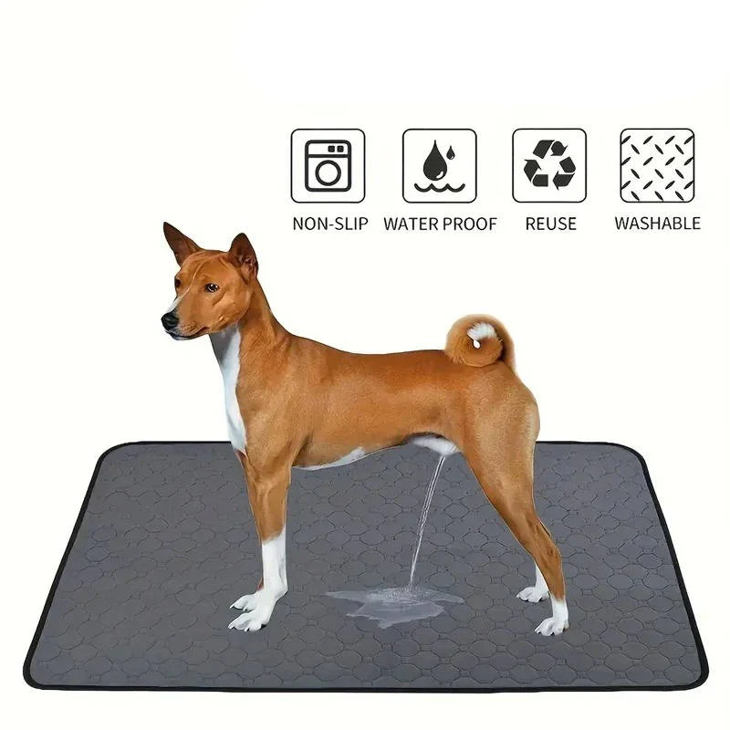 Hundeunterlagen für die Stubenreinheit – Einmal- und Mehrwegoptionen
