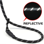 Reflektierende Hundeleine mit Gepolstertem Griff
