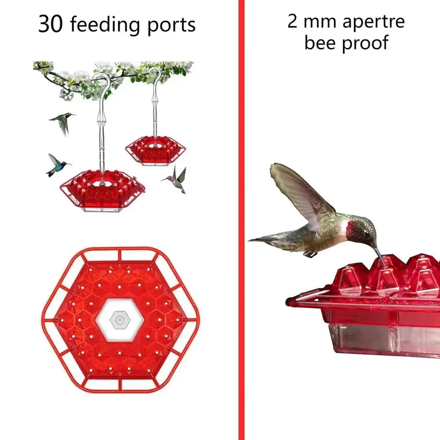 Hängender Kolibri-Futterspender mit Insektenschutz und stabiler Halterung