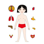 Holzpuzzle zur Anatomie des menschlichen Körpers – Lernspiel