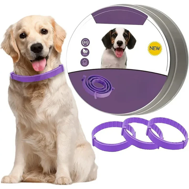 Pheromonberuhigungshalsband für Hunde