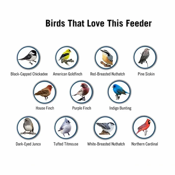 Eichhörnchenfester Vogel-Futterspender