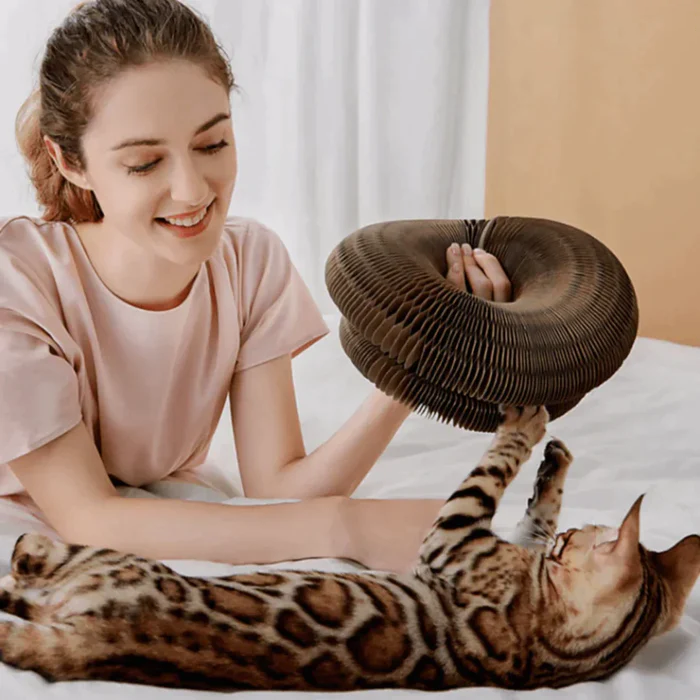 Katzenspielzeug - Interaktives Spielzeug für Katzen