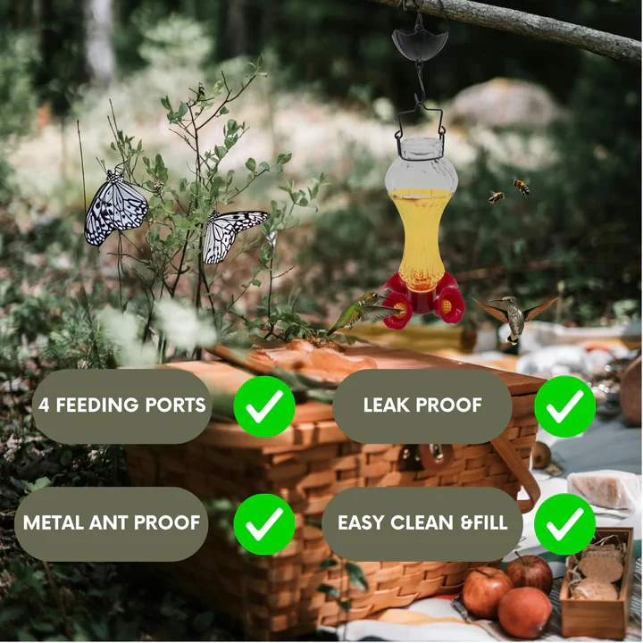 Glas Kolibri Futterspender mit Ameisenbecken für Blumen