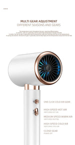 High-Performance Hair Dryer with Smart Ionic Care
