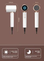 High-Performance Hair Dryer with Smart Ionic Care