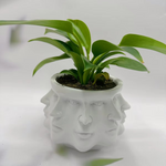 Moderne Topf mit Gesicht Design – Voltyx