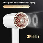 High-Performance Hair Dryer with Smart Ionic Care
