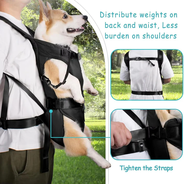 Hunde-Trage-Rucksack