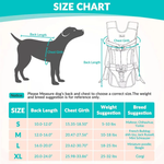Hunde-Trage-Rucksack