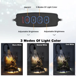 LED Beleuchtung für Aquarien