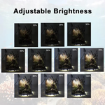 LED Beleuchtung für Aquarien