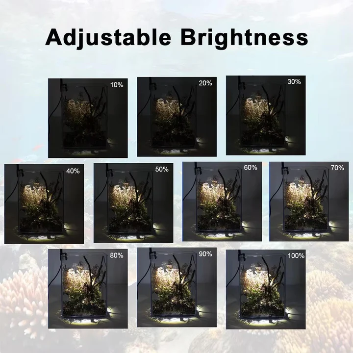 LED Beleuchtung für Aquarien