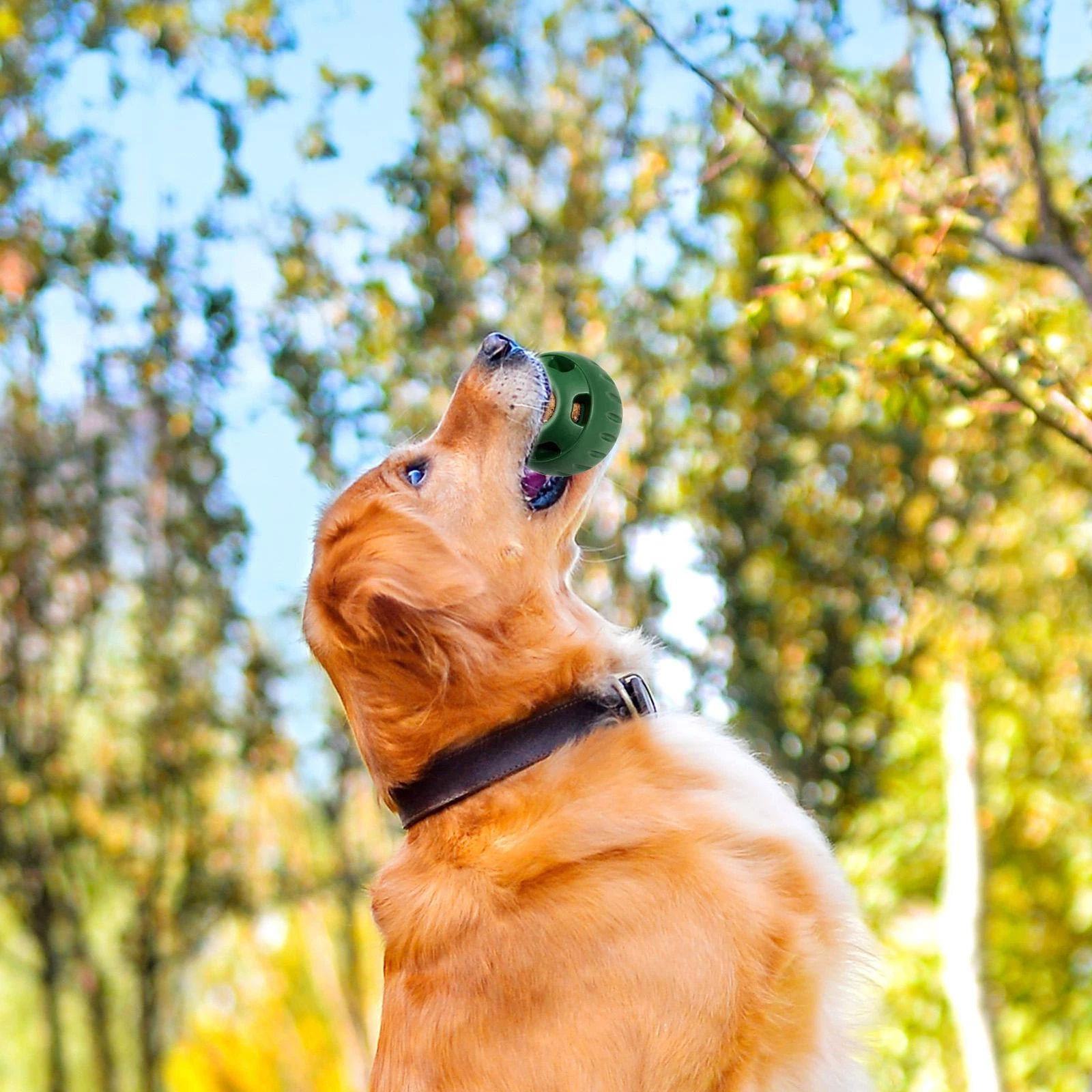 Snackspielball für Hunde | Robustes Design, Wiederverwendbar, Sommerfreude