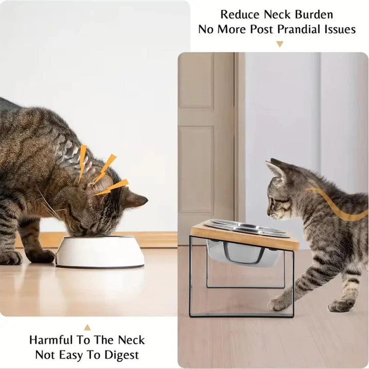 Erhöhnter Futternapf für Katzen – Bequemes Fressen