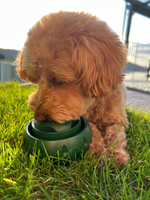 Snackspielball für Hunde | Robustes Design, Wiederverwendbar, Sommerfreude