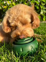 Snackspielball für Hunde | Robustes Design, Wiederverwendbar, Sommerfreude