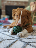 Snackspielball für Hunde | Robustes Design, Wiederverwendbar, Sommerfreude