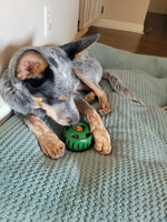 Snackspielball für Hunde | Robustes Design, Wiederverwendbar, Sommerfreude