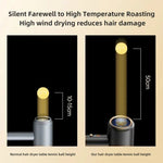 High-Performance Hair Dryer with Smart Ionic Care