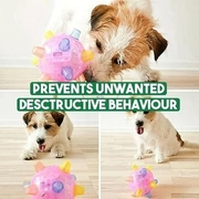 Aktivierungsball zum Springen für Hunde