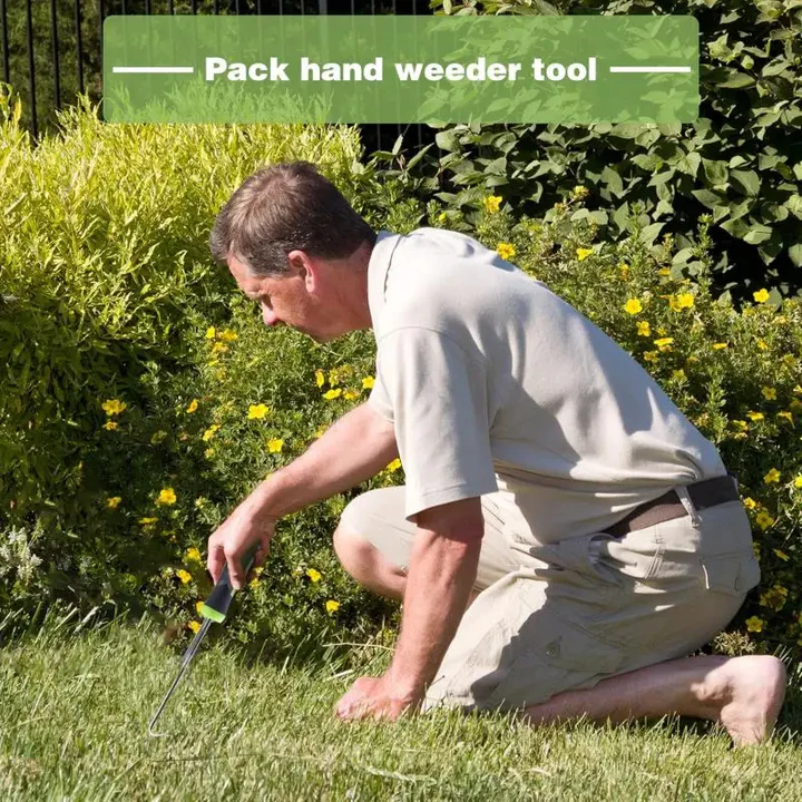 Ergonomischer Unkrautentferner aus robustem Material