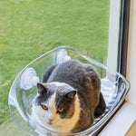 Katzenhängematte – Bequemlichkeit für Ihre Katze