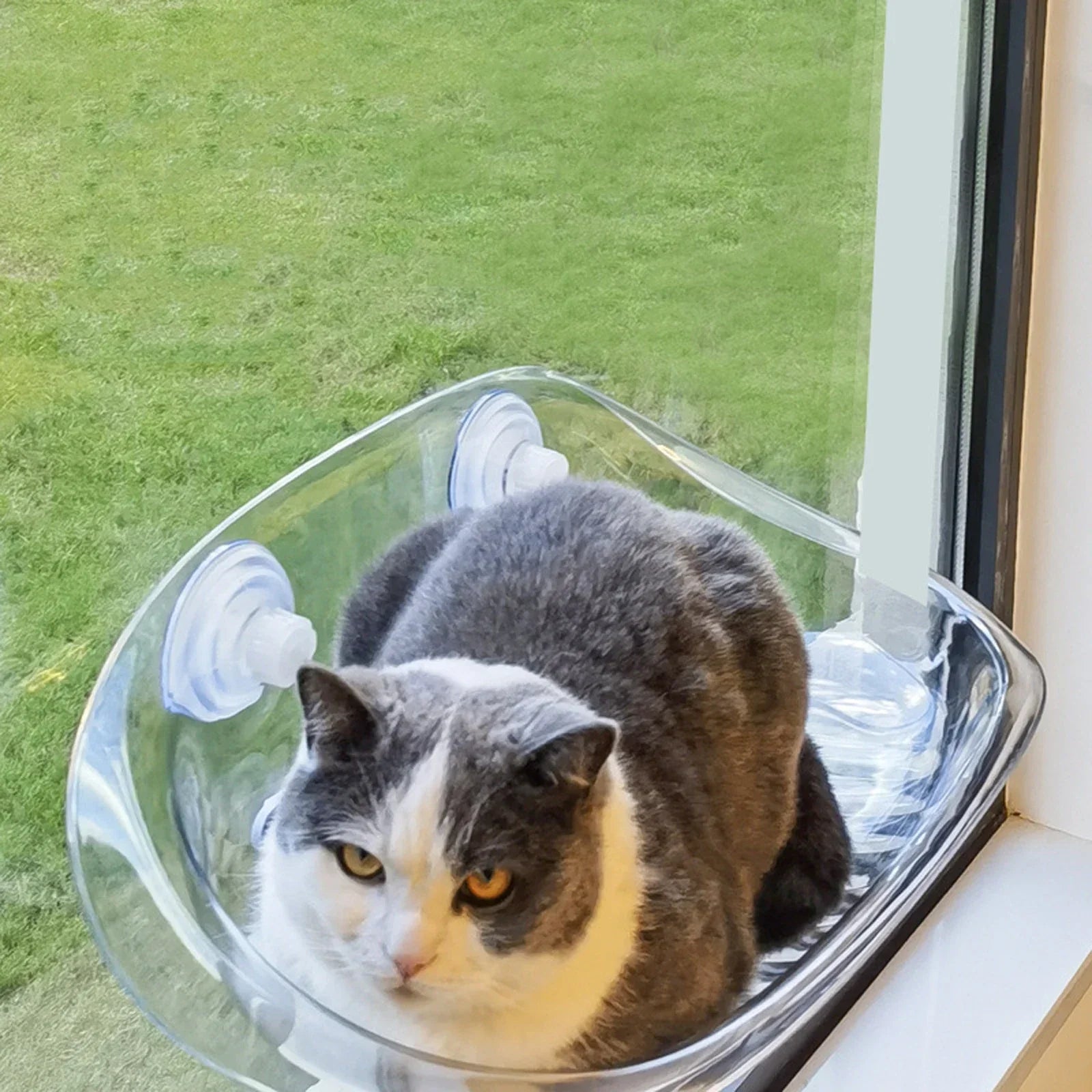 Katzenhängematte – Bequemlichkeit für Ihre Katze