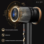 High-Performance Hair Dryer with Smart Ionic Care