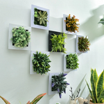 Wanddekoration GreenFrame – 3D Kunstpflanze im modernen Rahmen