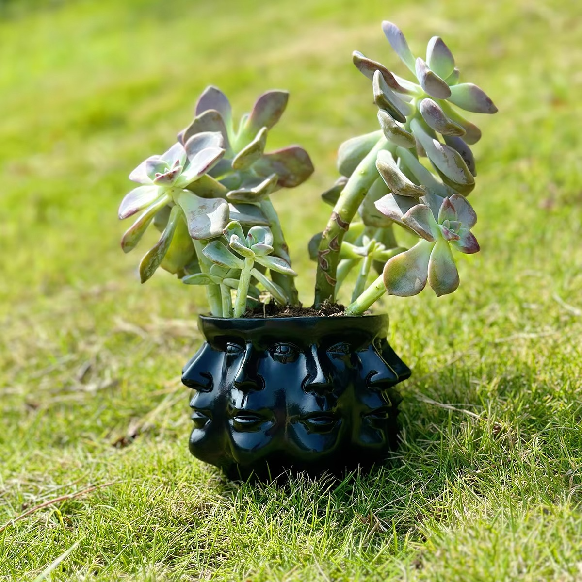 Moderne Topf mit Gesicht Design – Voltyx