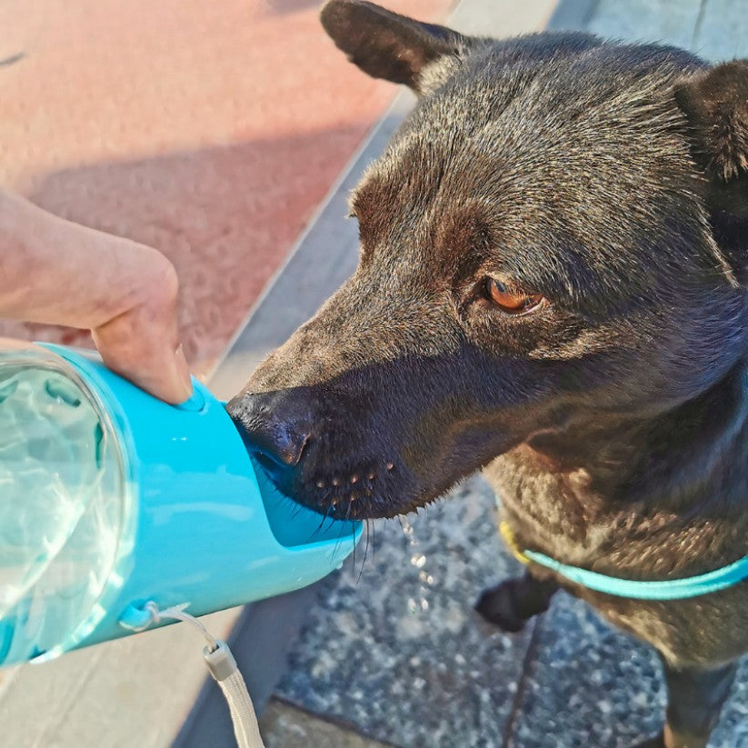 Praktische Trinkflasche für Hunde mit Snack- und Kotbeutelhalter