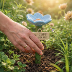 BlütenWasser – Your solution for a flourishing garden