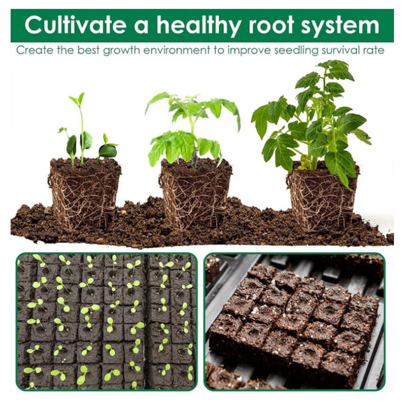 GreenStart – Sustainable Cultivation without Plastic Waste