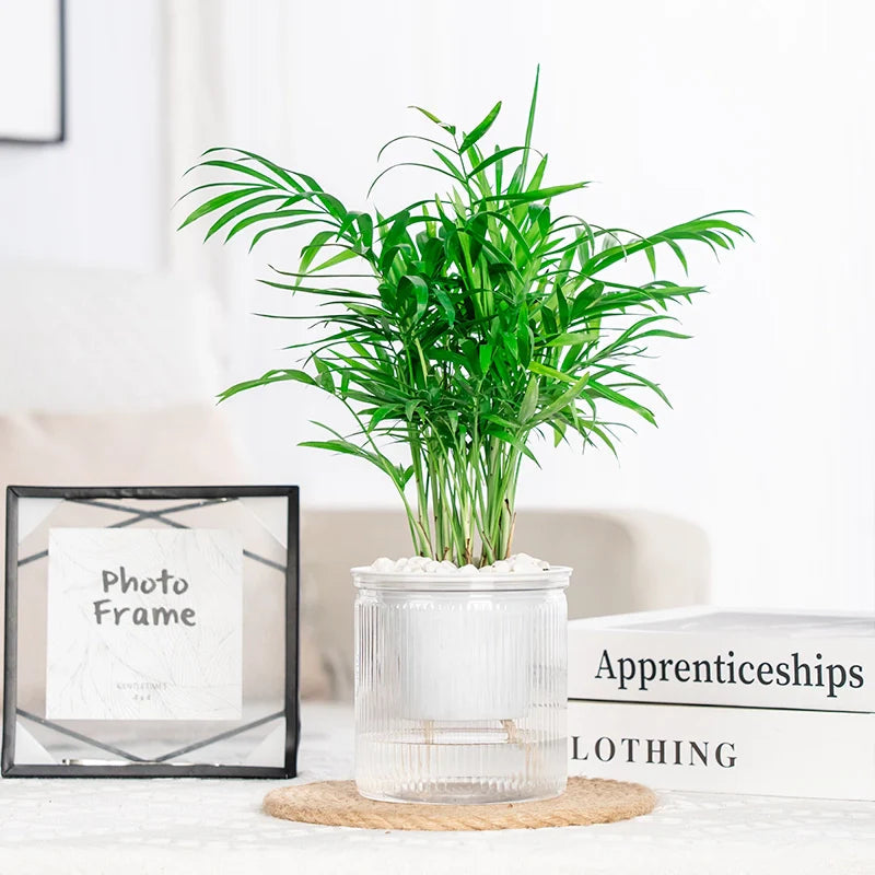 Plant care made easy – The smart self-watering pot