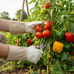 Gartenheld – Ergonomische und schützende Handschuhe für Gärtnerinnen