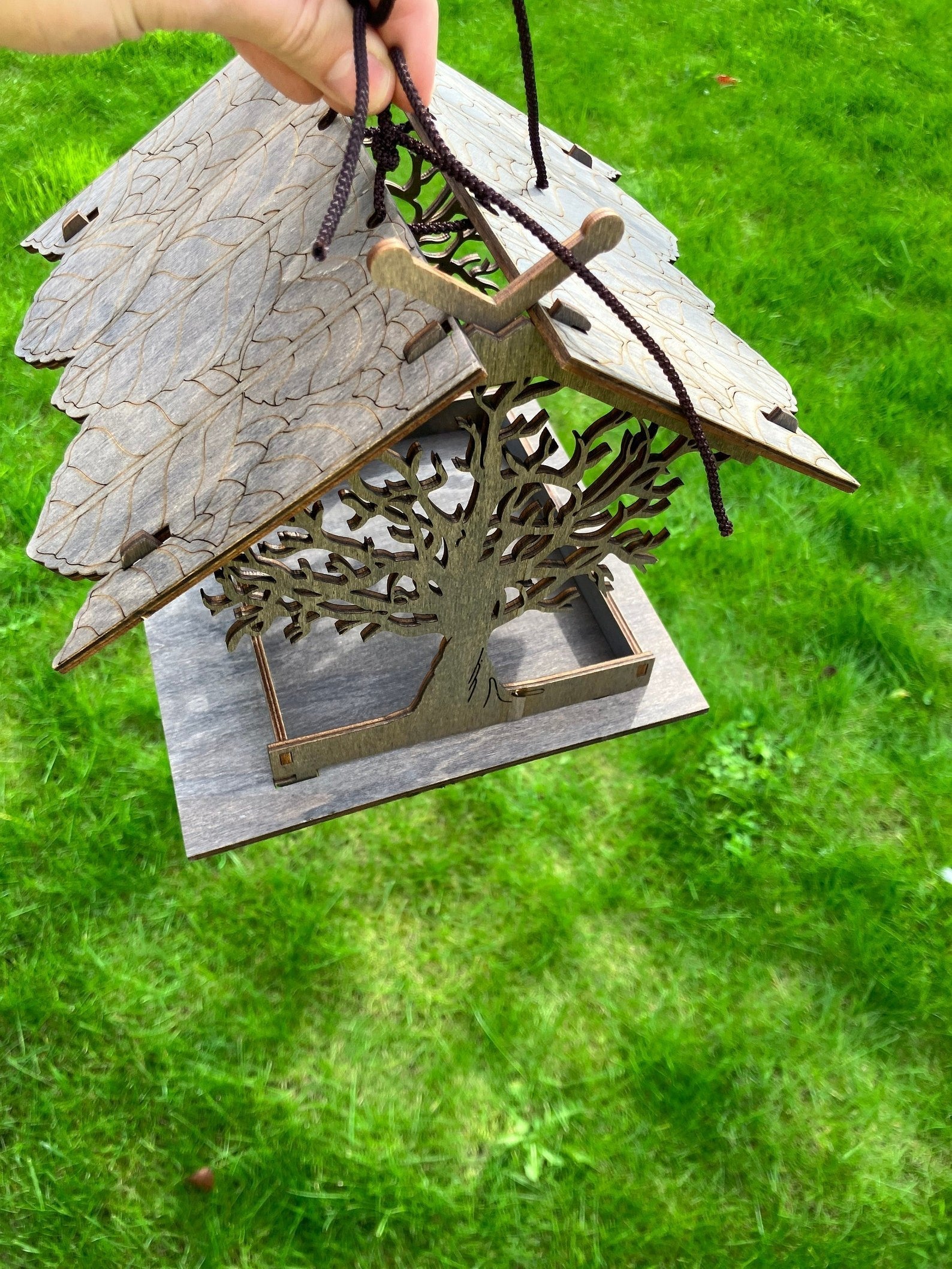 Bird Paradise – Transform Your Garden into a Bird Paradise