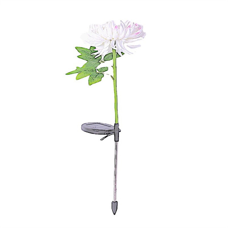 Sun Blooms – Bring Your Garden to Life with Solar Lights