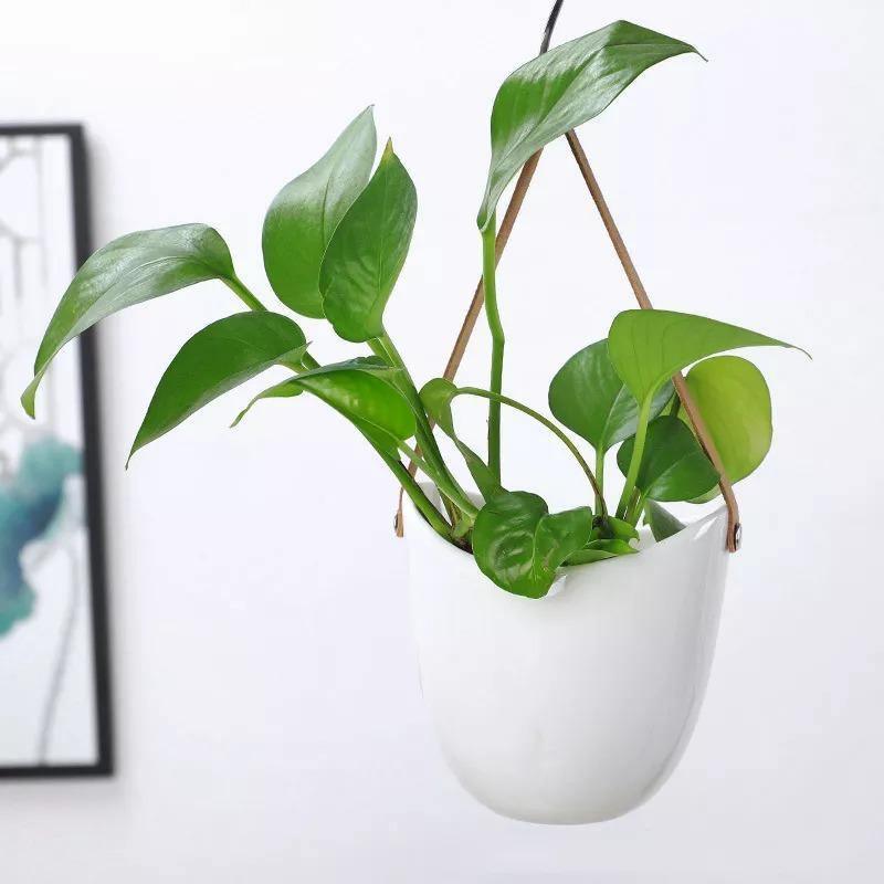 Hanging Blossoms - Give Your Room a New Look