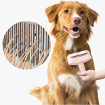 Deluxe Grooming – Gentle Care for a Radiant Pet Coat
