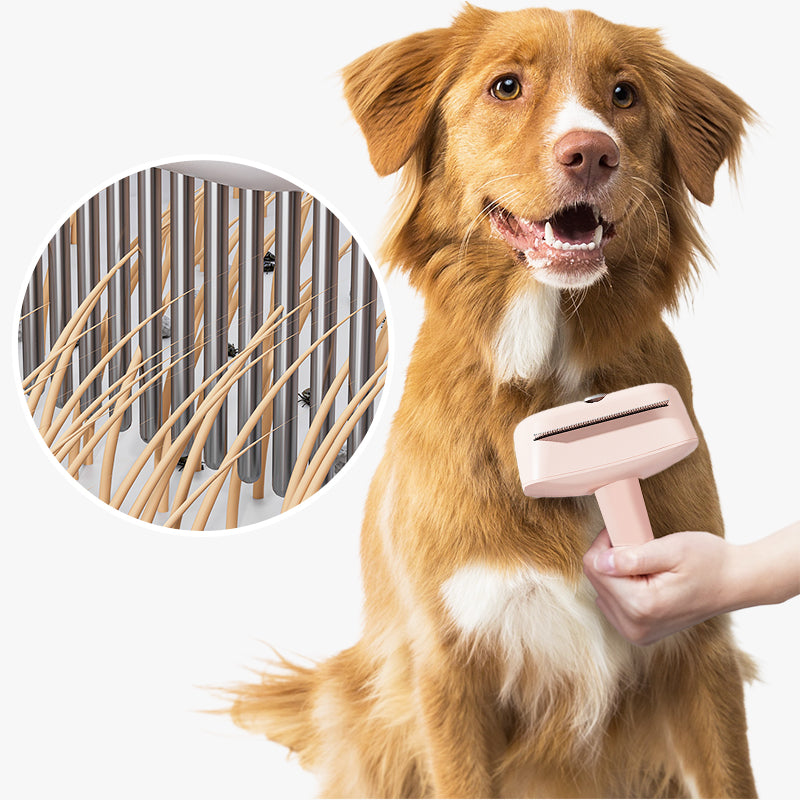 Deluxe Grooming – Gentle Care for a Radiant Pet Coat