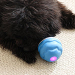 Interactive PetSphere – For hours of playtime fun and mental fitness