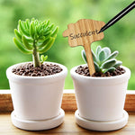 Plant care made easy with flexible wooden markers