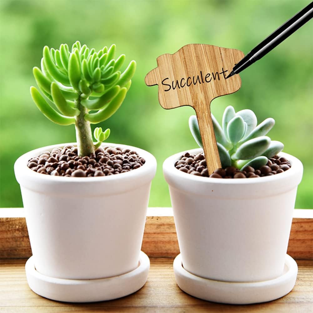 Plant care made easy with flexible wooden markers