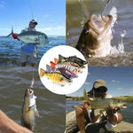 Fangmeister – The Perfect Solution for Successful Fishing Trips