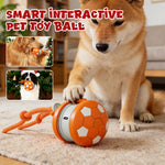 Interaktiver Spielball für Hunde mit USB-Ladung